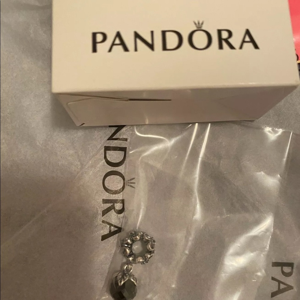 Pandora garden odyssey black spinal charm